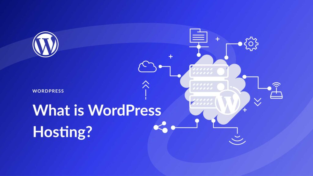 Top Choice for Your Website Hosting Needs